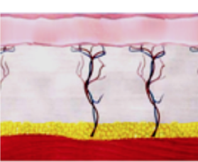 https://www.medsystems.com.br/wp-content/uploads/2022/05/efetio-lifting-depois-1-1.png