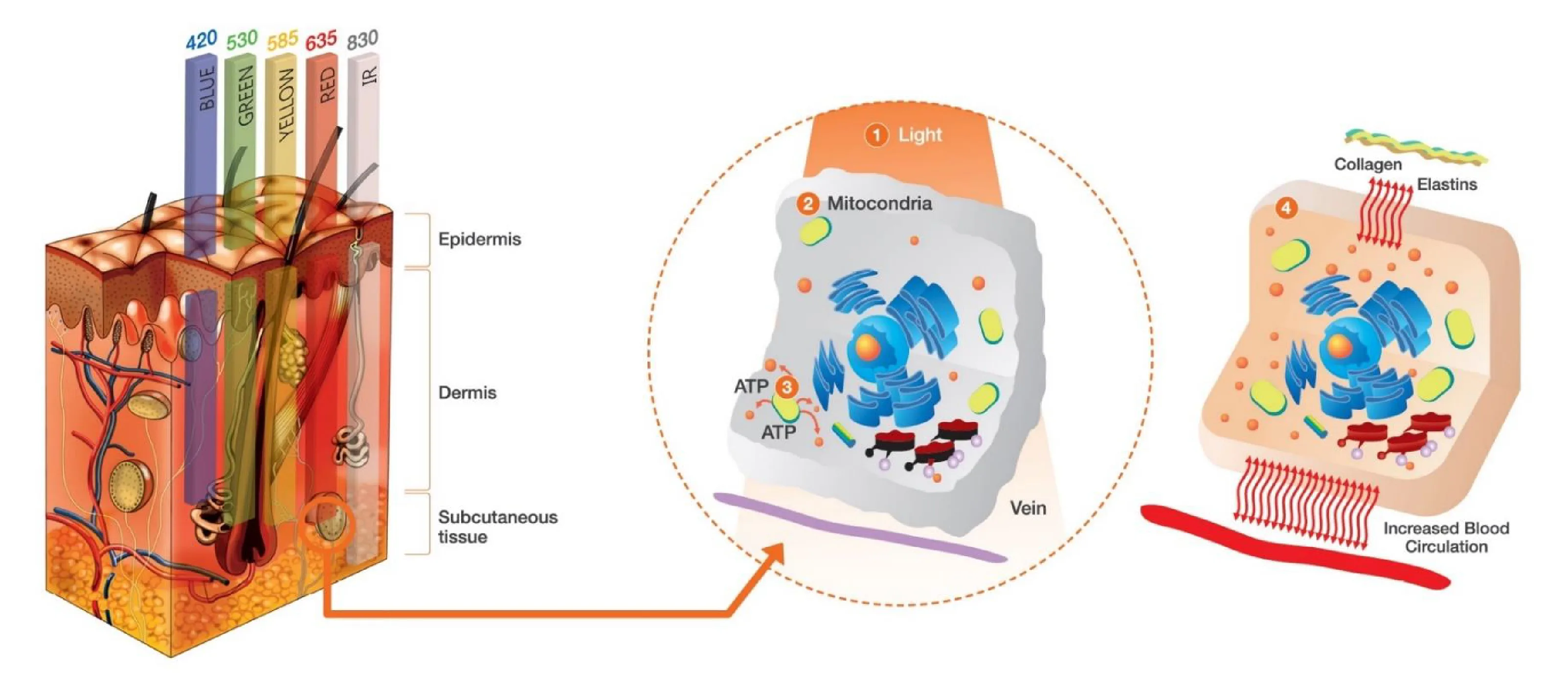 Mecanismo de ação Smartlux Mini